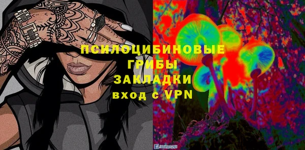 mdma Бородино