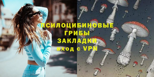 таблы Пересвет
