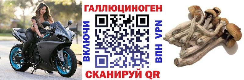 Галлюциногенные грибы Magic Shrooms  blacksprut вход  Тюкалинск 
